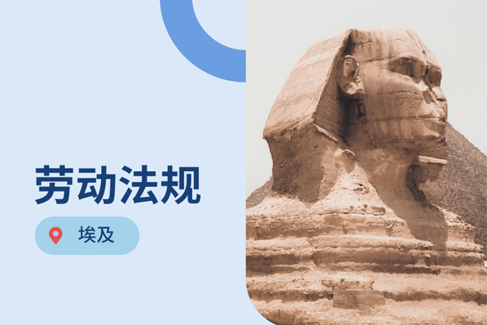 出海埃及?026年埃及劳动法