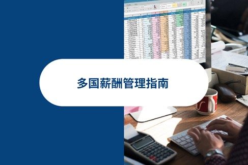 精通国薪资理：2026 年薪酌?